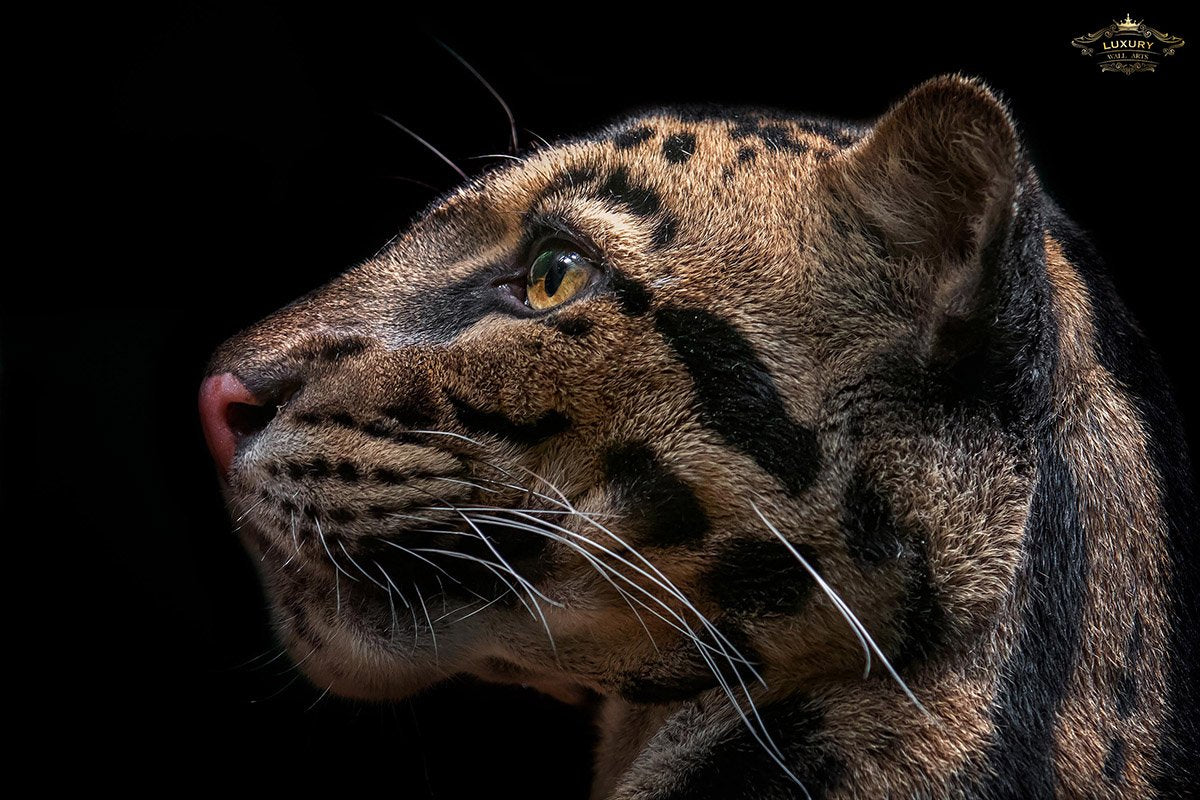 Panter Ii Posters Prenten En Visuele Kunstwerken