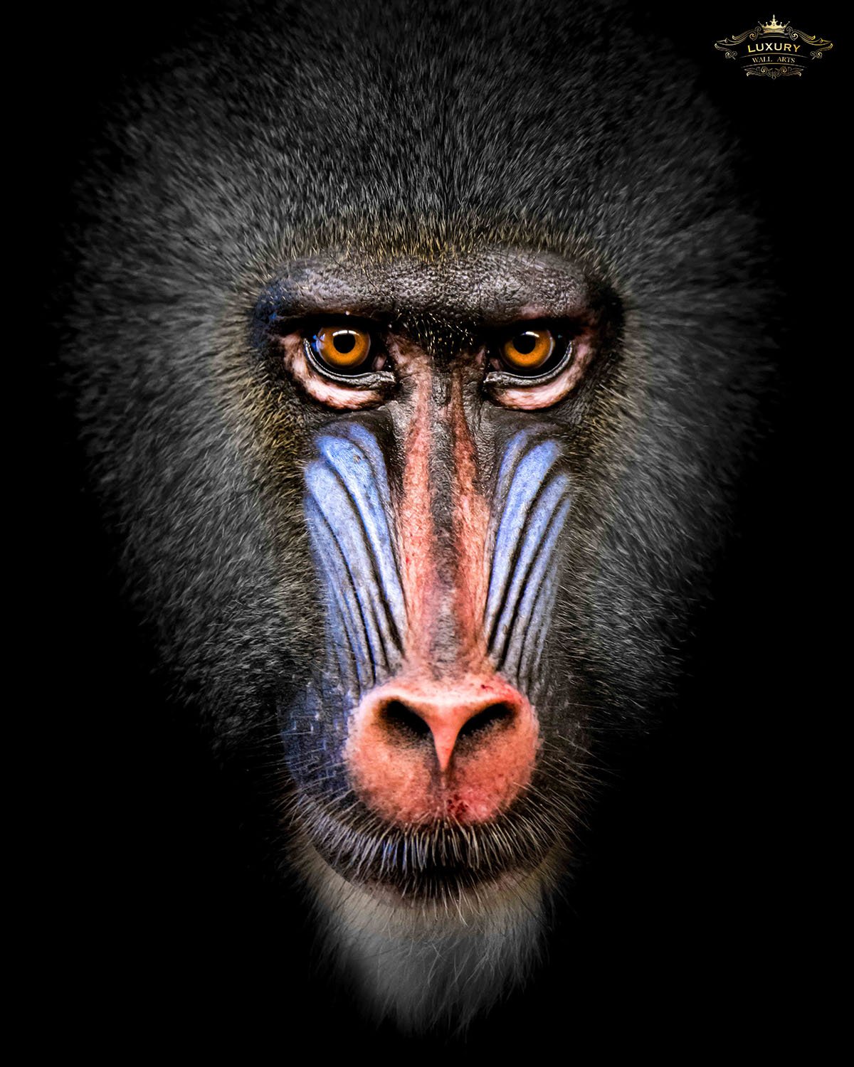 Rafiki The Mandril Posters Prenten En Visuele Kunstwerken