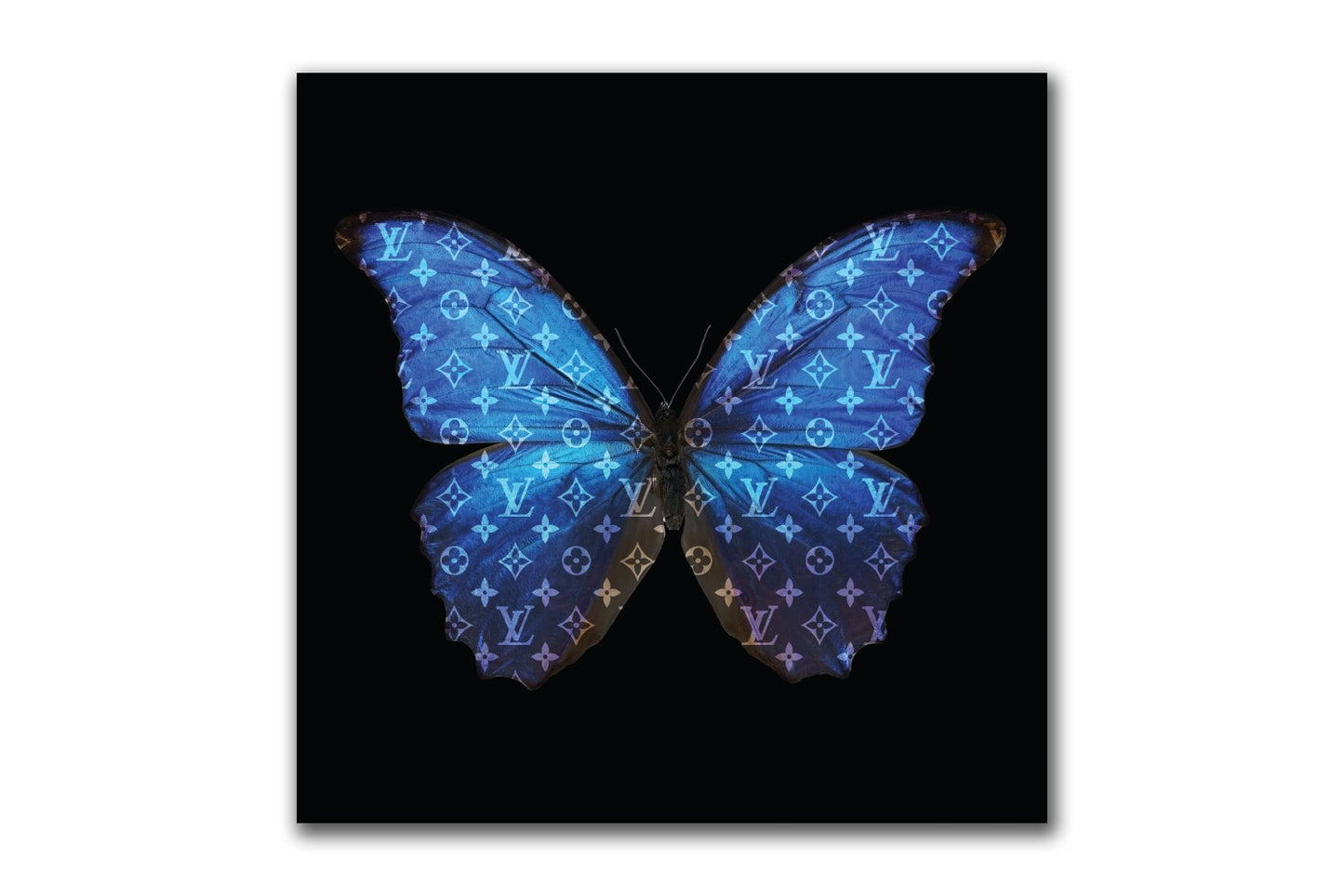 Louis Vuitton Butterfly (Neon) 100X100Cm / Aluminium Blue Posters Prenten En Visuele Kunstwerken