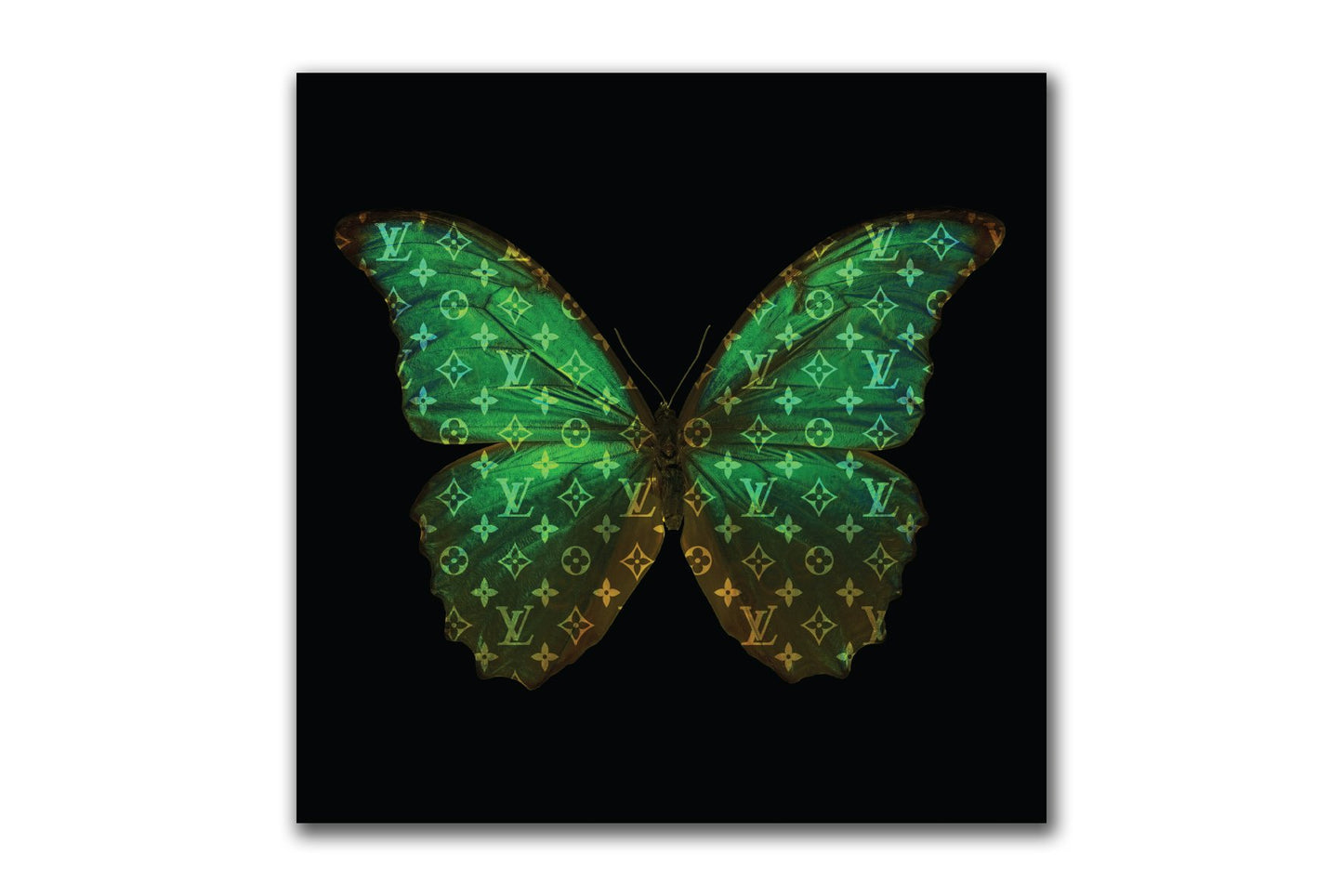 Louis Vuitton Butterfly (Neon) 100X100Cm / Aluminium Green Posters Prenten En Visuele Kunstwerken