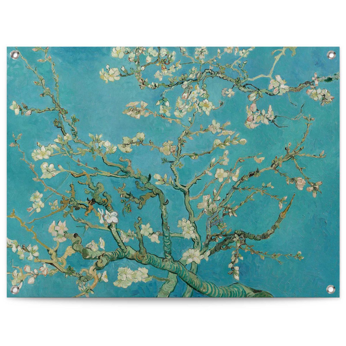 Tuinposter Vincent Van Gogh Amandelbloesem