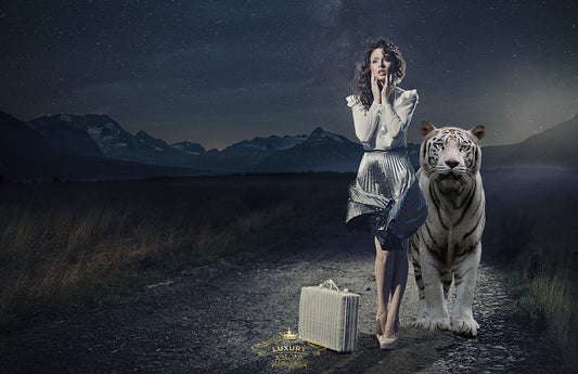 Dream Of A Tiger Posters Prenten En Visuele Kunstwerken