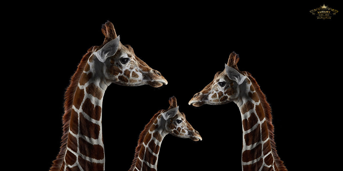 Giraffen Posters Prenten En Visuele Kunstwerken