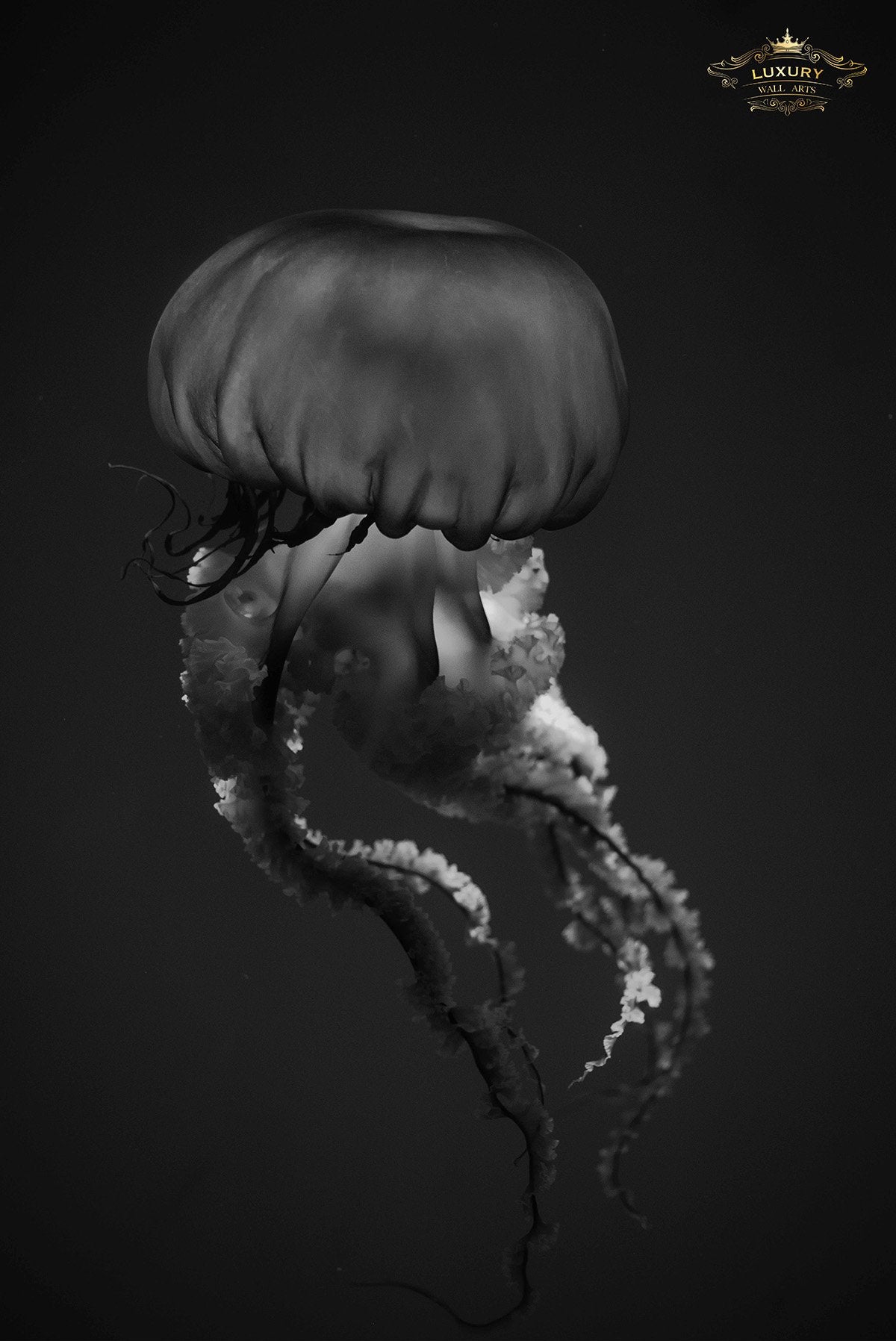 Jellyfish Posters Prenten En Visuele Kunstwerken