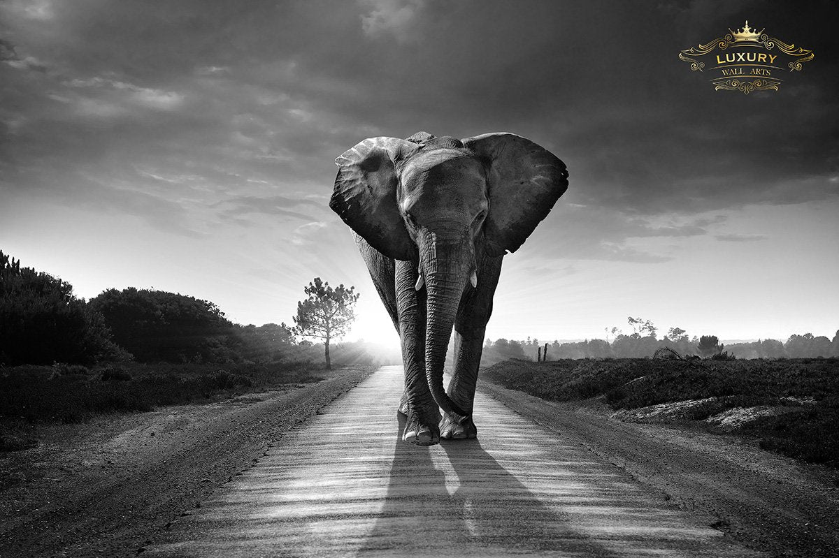 Majestic Elephant 150X100Cm / Aluminium Zwart - Wit Posters Prenten En Visuele Kunstwerken