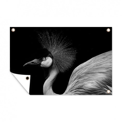 Tuinposter - Kraanvogel - Zwart - Wit - Vogel